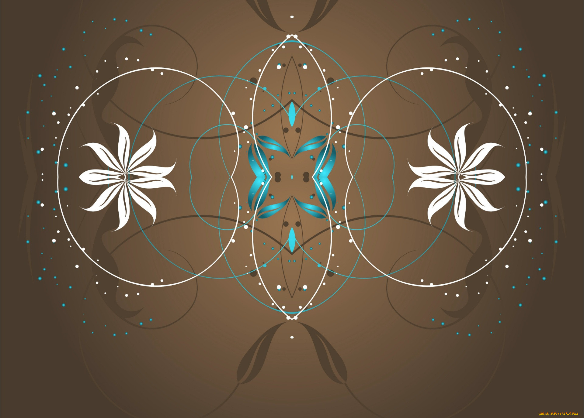  ,  , flowers, , , 